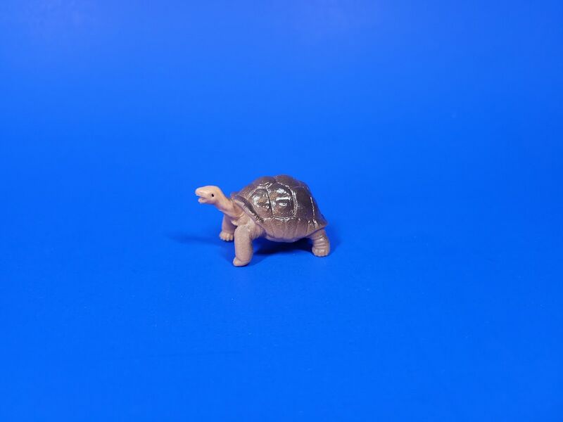 File:Recur-egg-tortoise-pg.jpg