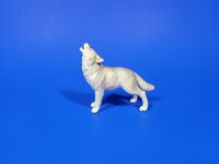 Gray Wolf
