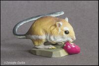 Giant kangaroo rat