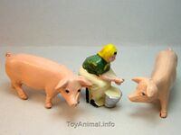 253 Swine Turning the Head