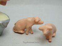 255 Piglet Sitting