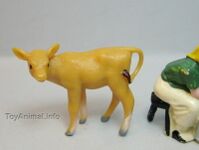 293 Jersey Calf with Head Turned