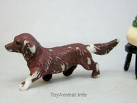 290 Dachshund