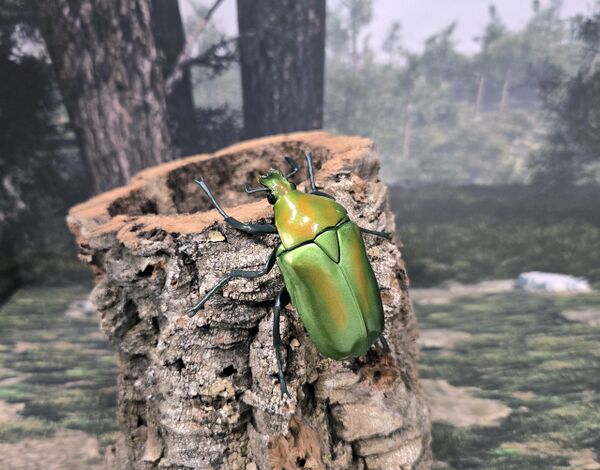 Rhomborhina unicolor Bandai-scaled.jpg