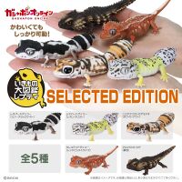 Reptiles Selected Edition