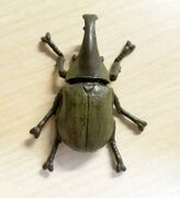 SEGA Standard Series Xylotrupes pubescens