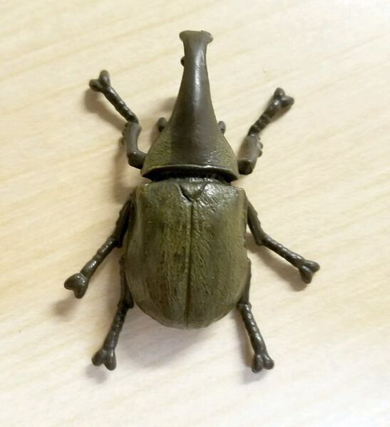 File:SEGA Standard Series Xylotrupes pubescens.jpg