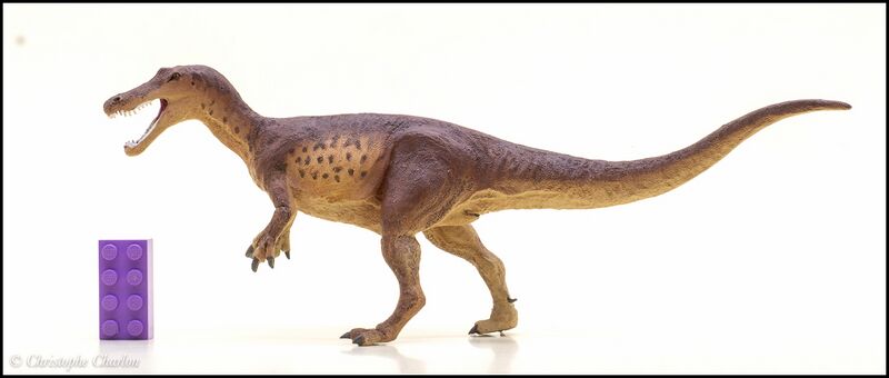 File:Safari 100573 Baryonyx 1.jpg