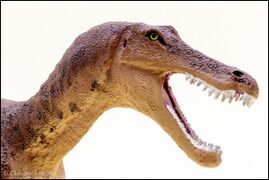 Safari 100573 Baryonyx 5.jpg