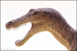 Safari 100573 Baryonyx 6.jpg