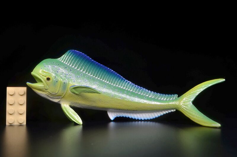 File:Safari 110032 Mahi-Mahi 1.jpg