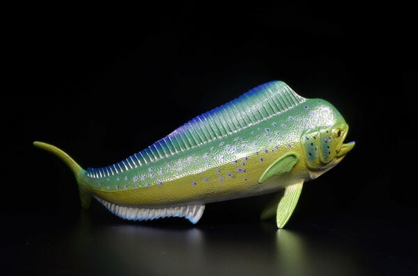 Safari 110032 Mahi-Mahi 2.jpg