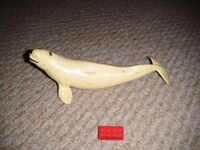 Safari 211002 Beluga WhaleJPG.jpeg