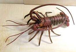 Safari 100076 Spiny Lobster