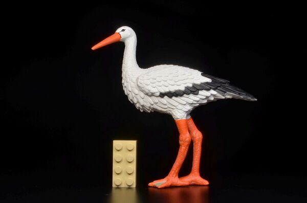 Safari Ltd 2025 Incredible Creatures 110305 Stork 1.jpg