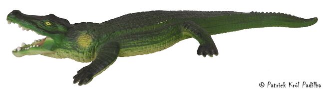 Salvat Deinosuchus