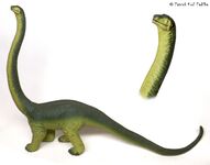 10 Diplodocus