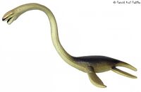 9 Elasmosaurus