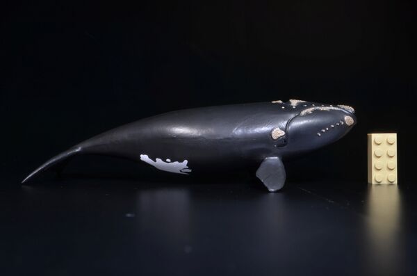 Schleich-rightwhale-jolie1.jpg