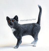 Schleich42501Cat.jpg