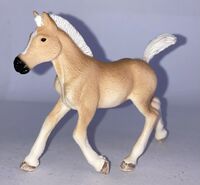 Schleich 13951 Haflinger Foal TRL.jpg