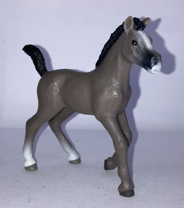 Schleich 13957 Cheval de Selle Français Foal TRL.jpg