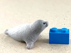 Schleich WELTRETTERBANDE Weddell Seal