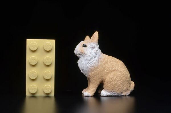 Schleich rabbit hutch jolie3.jpg