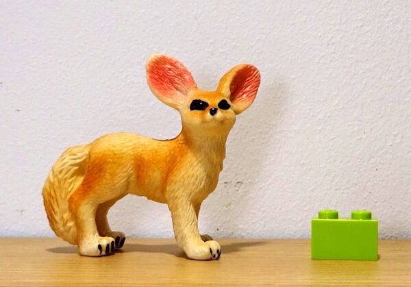 Shing Hing NG Fennec fox.jpg