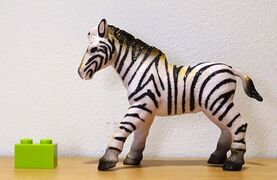 Shing Hing NG Plains zebra