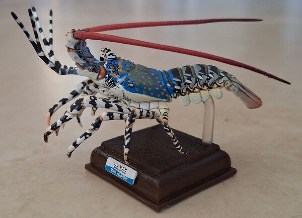 Spinylobster3.jpg