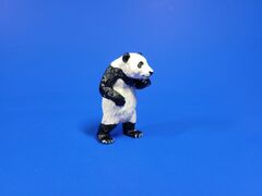 standing Giant panda cub