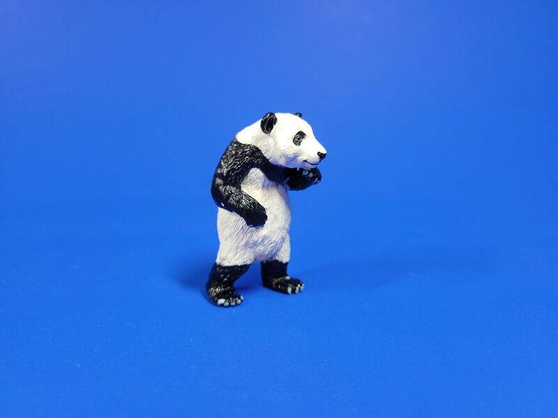 File:Standing Giant panda cub.jpg