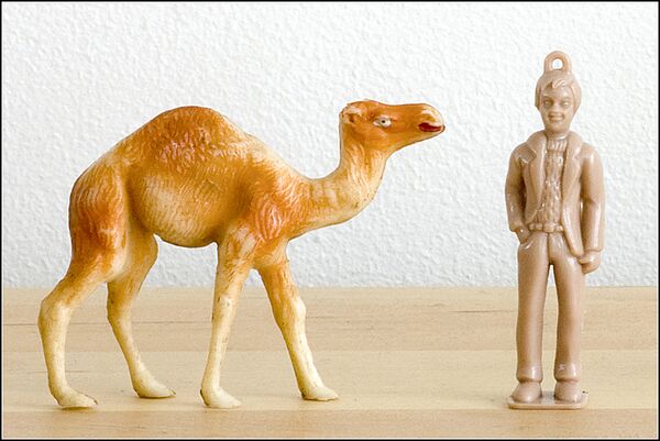 Starlux 1953 Dromedary calf.jpg