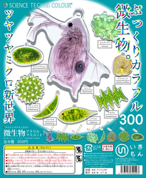 File:Stc biseibutu dp.jpg