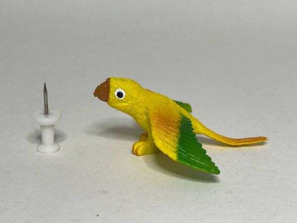 TM-mini-toucan-F-macawmold-jill1.jpg