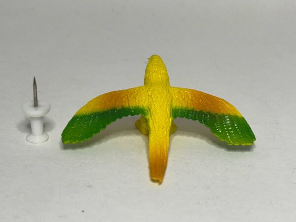 TM-mini-toucan-F-macawmold-jill2.jpg