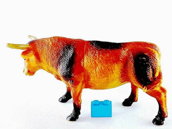 TM 2011 Bull 2072-P6 left