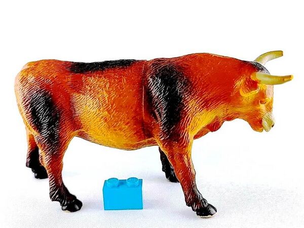 TM 2011 Bull 2072-P6 right