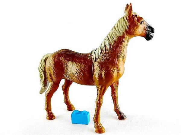 TM 2011 Horse 2072-P4 right