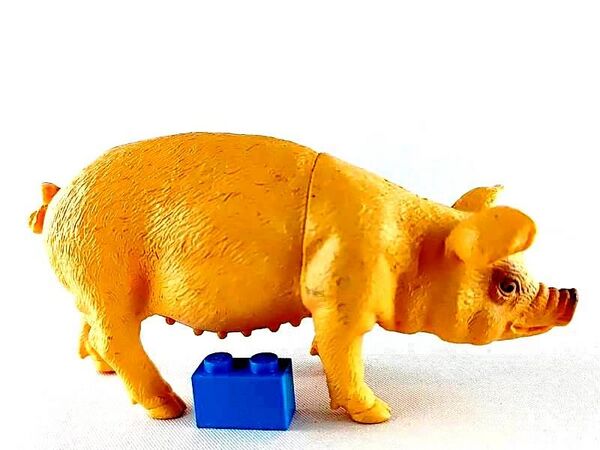 TM 2011 Pig 2123-P1 right