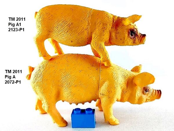 TM 2123 on TM 2072 right