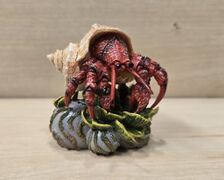 TNG Hermit crab