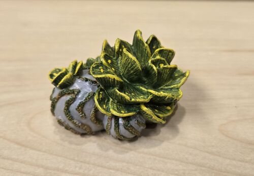 TNG Hermit crab Coral base 1.jpg