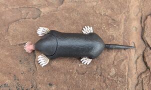 Takara Star-nosed mole