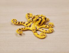 The Access Dangerous sea creatures Blue ringed octopus
