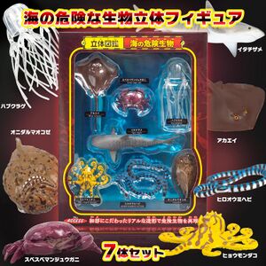 Dangerous sea creatures