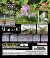 Mantis 3
