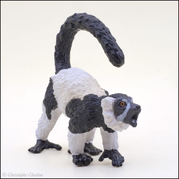 File:ToyMany Black-and-white ruffed lemur 4.jpg
