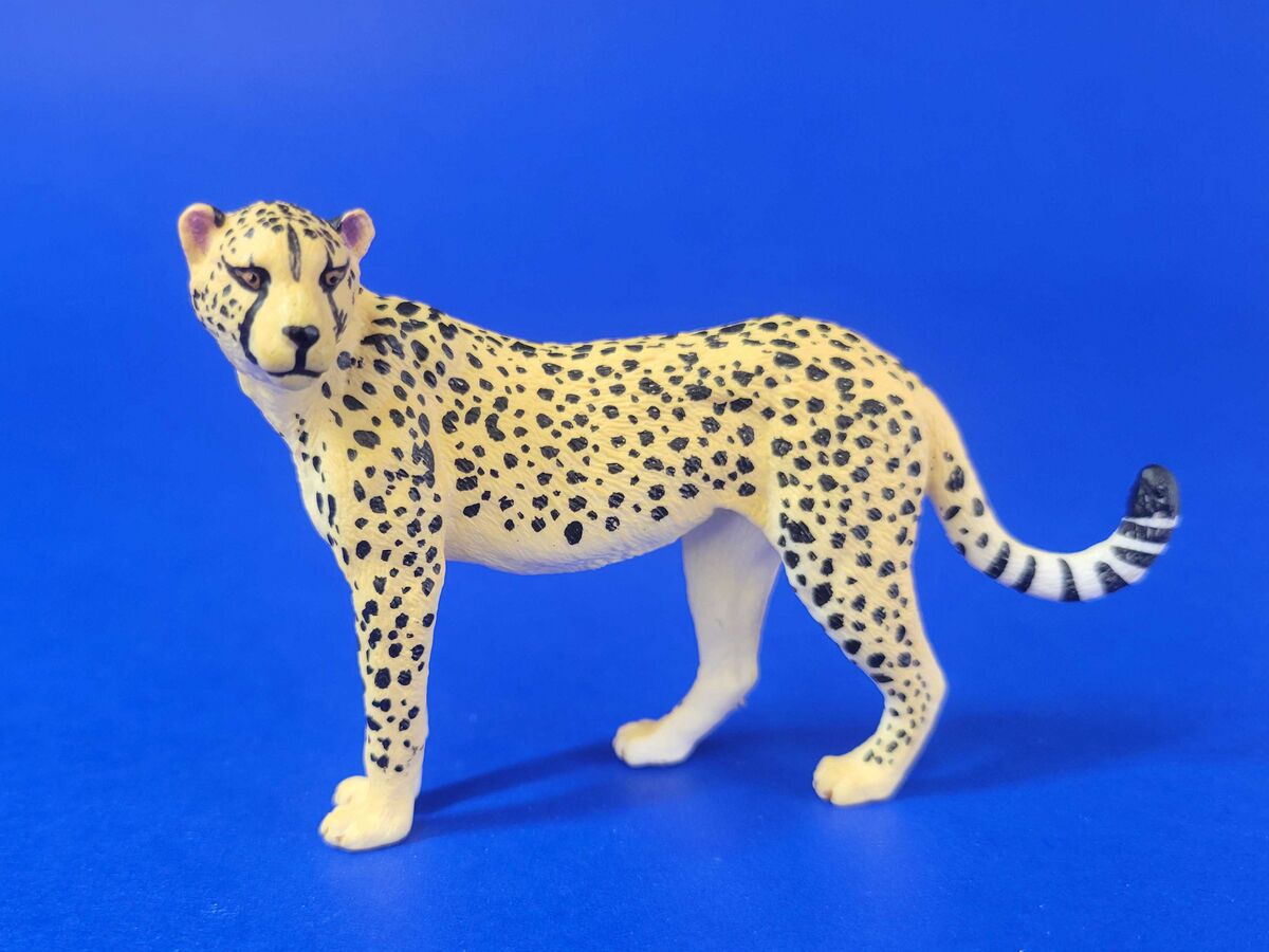 Toymany Big cats set - Toy Animal Wiki